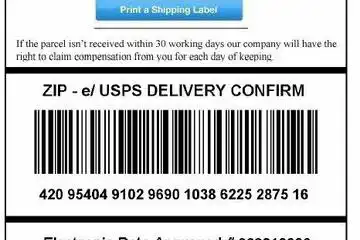 Ein „Paket-Virus“ analysiert